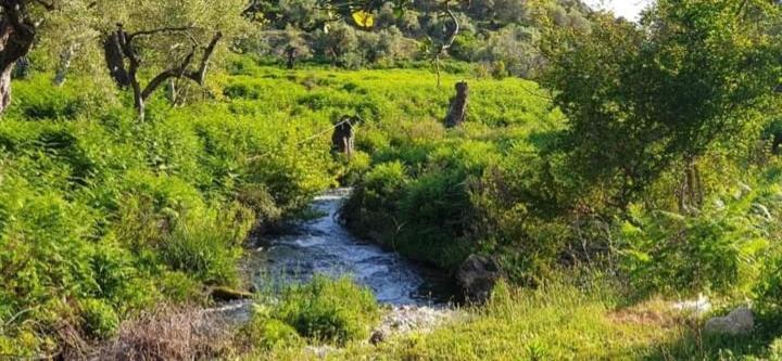 Albanian Glamping Bunec Piqeras Dış mekan fotoğraf